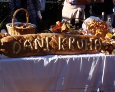 Dani Kruha