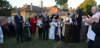 IMG_8506-06-10-23-16-03-11.JPG