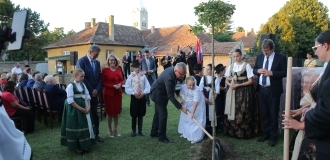 IMG_8522-06-10-23-16-03-04.JPG