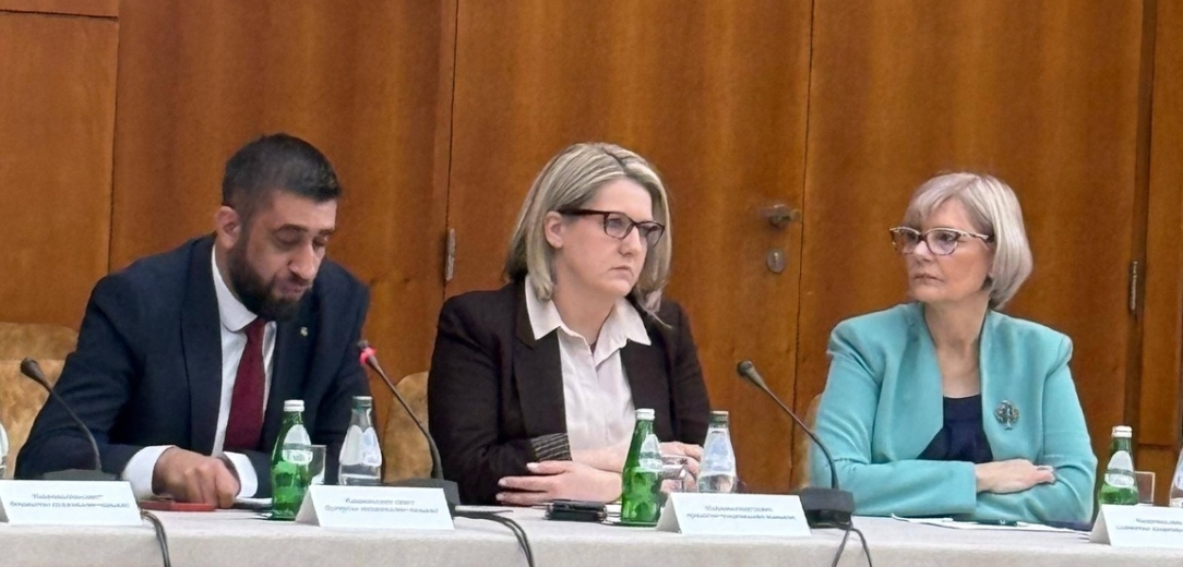 Jasna Vojnić na sjednici Savjeta za nacionalne manjine istaknula izazove financiranja i zastupljenosti