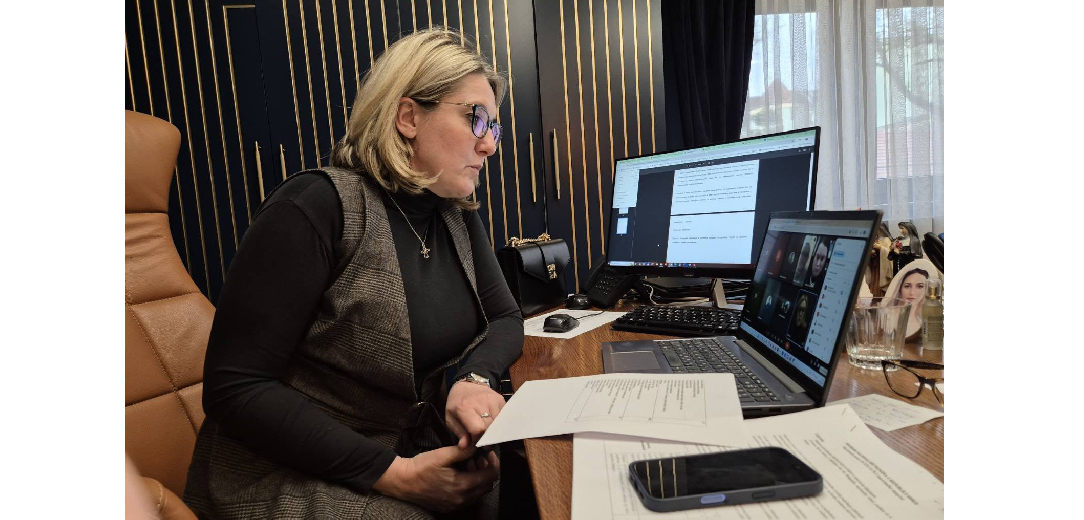 Online sastanak s elektorima