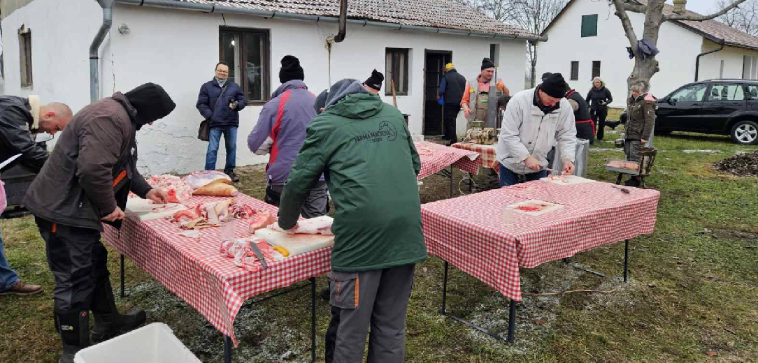 Održan X. risarski disnotor 