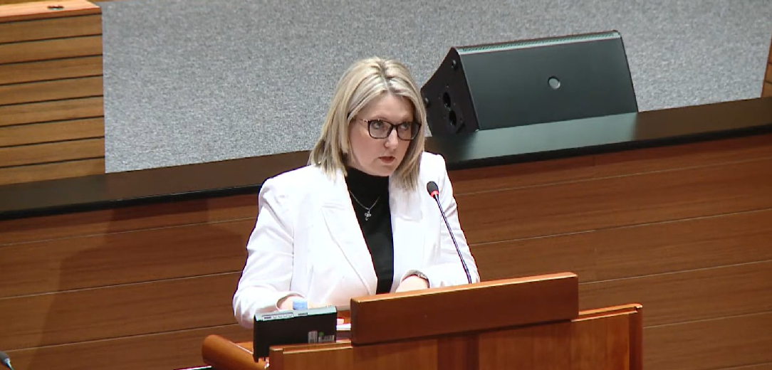 Vojnić: Vjerujem da ćemo raskrinkati metode zastrašivanja