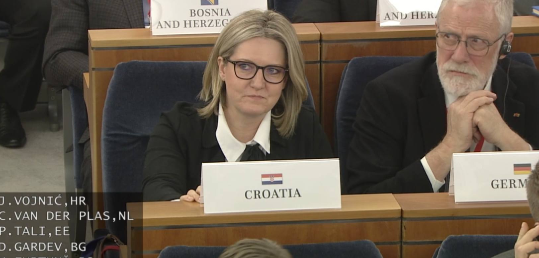 Vojnić: Moramo spriječiti narativ koji nepravedno optužuje Hrvate za „uzrok“ prosvjeda u Srbiji