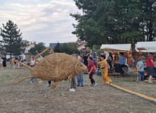 HNV na najvećoj hrvatskoj fišijadi u Belom Manastiru