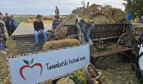 Tavankut u znaku voća 