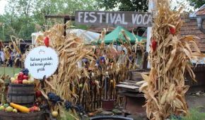 Održan XIV. Tavankutski festival voća i autohtonih rukotvorina u Tavankutu
