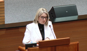 Vojnić: Vjerujem da ćemo raskrinkati metode zastrašivanja