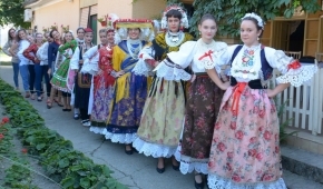 Održano tradicijsko češljanje u Baču
