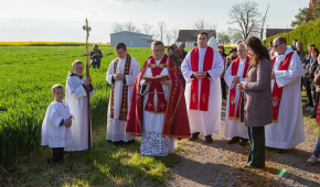 Blagoslovom žita započela 113. Dužijanca