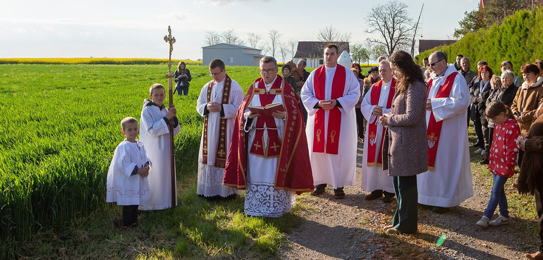 Blagoslovom žita započela 113. Dužijanca